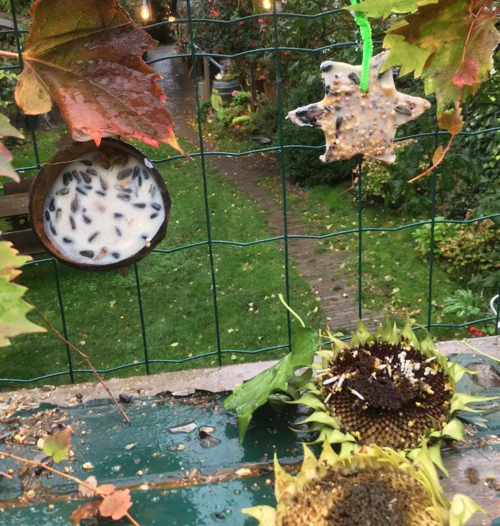 vogelvoer maken met kinderen. Vet in kokosnoot.